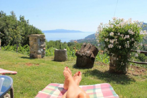 Sea View Apartment with Garden near Opatija